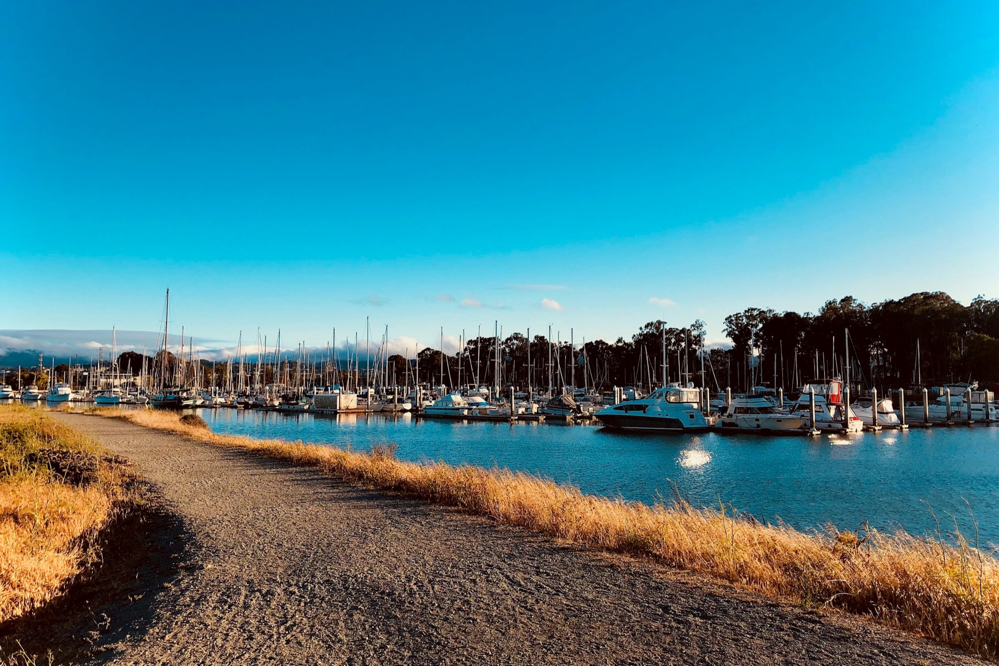 Homes for sale in San Mateo